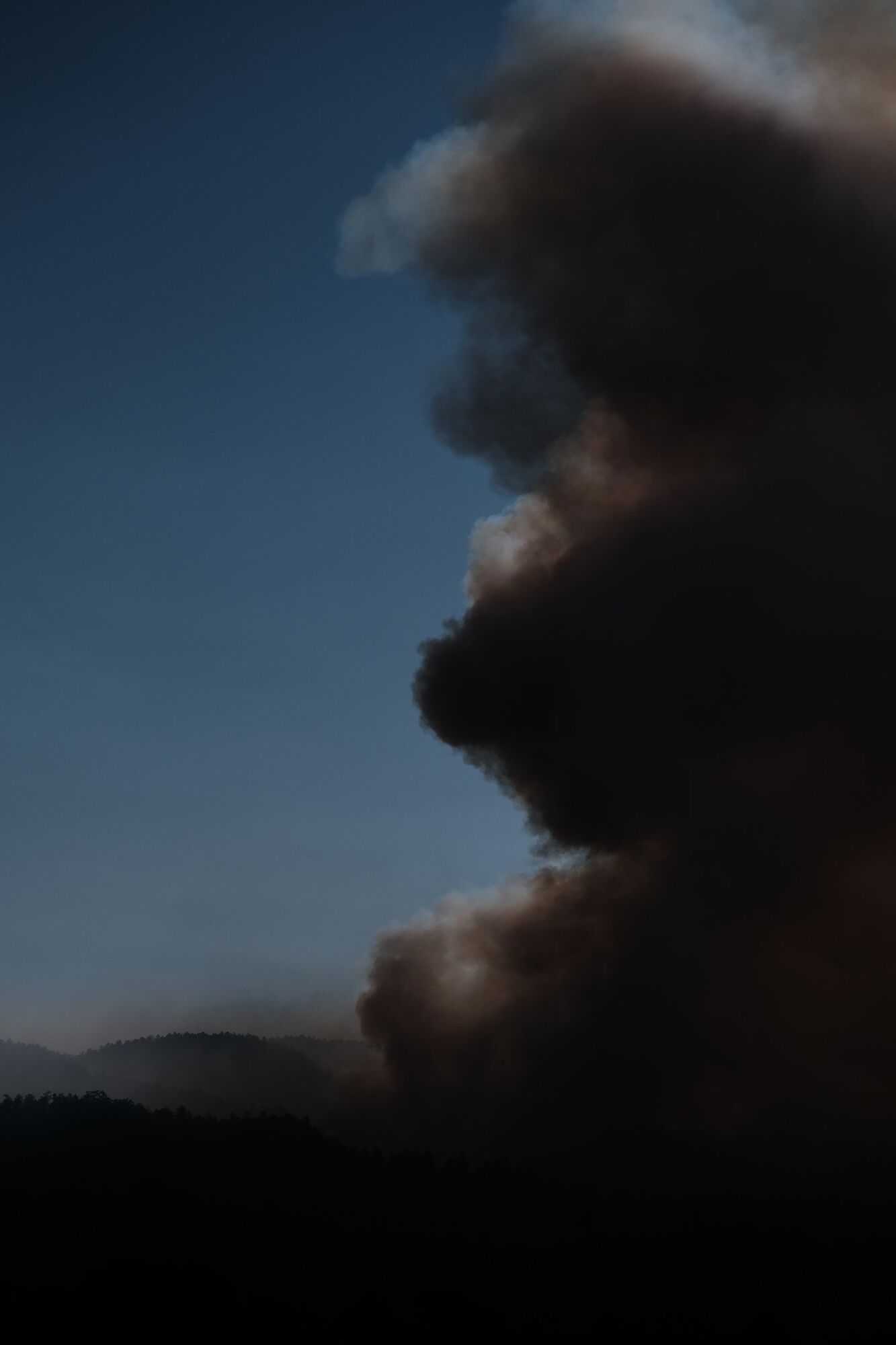 You can’t always prevent forest fires.
