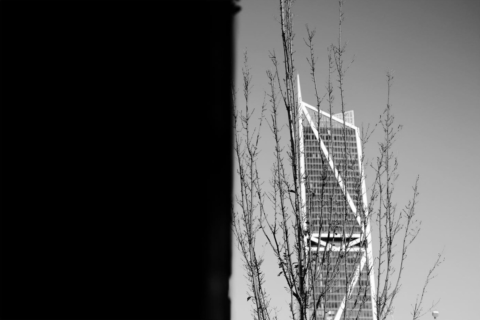 Tower seen through bare branches in black and white