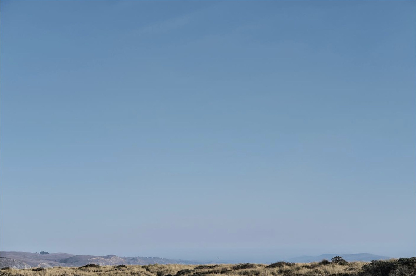 Dry coastal grass and low hills beneath a clear blue sky
