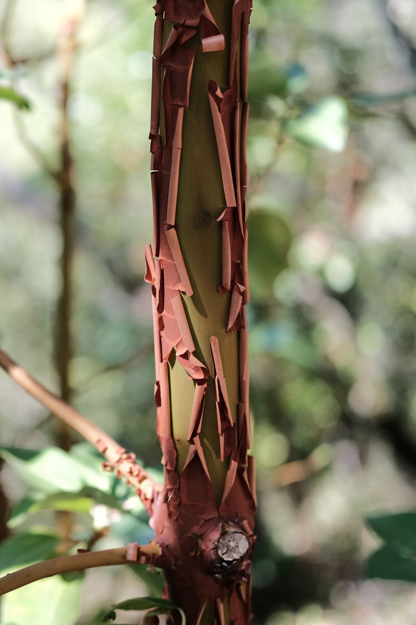 Something new emerges.